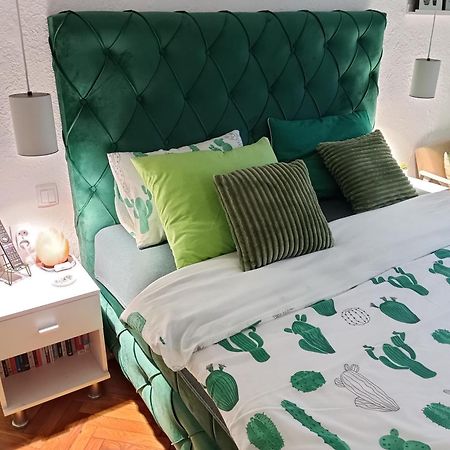 Green Cactus Rooms - Unique And Cozy House Senta Exterior foto