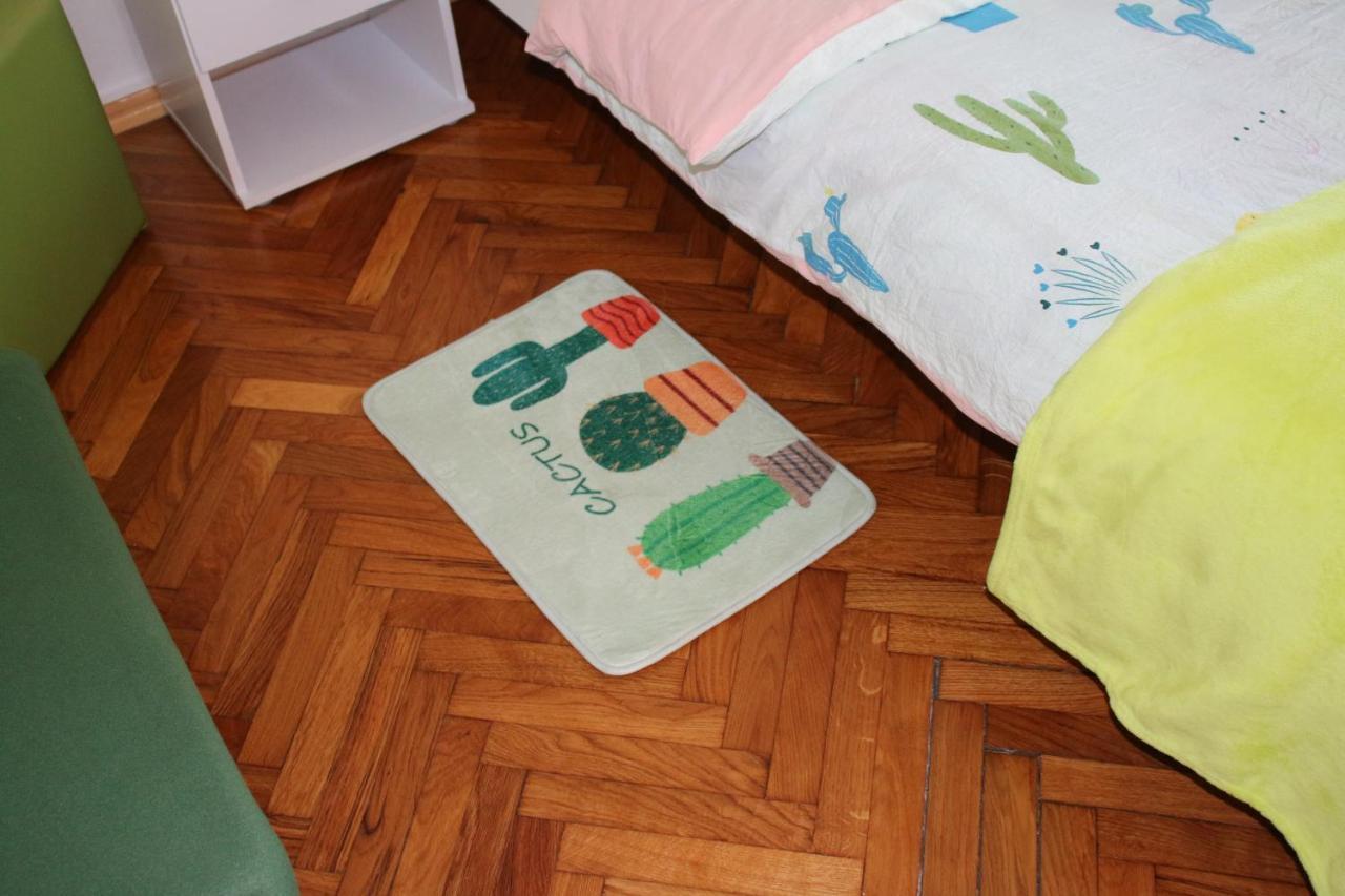Green Cactus Rooms - Unique And Cozy House Senta Exterior foto